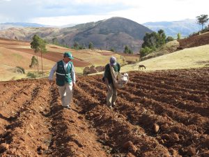 Manejo Integrado de Plagas (MIP) en Cultivos Específicos de Andalucía