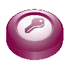 Curso Access Nivel B�sico