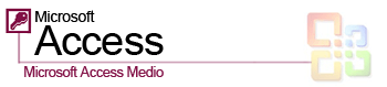 Curso de Access Medio on-line