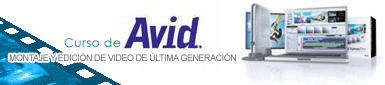 Curso de Avid on-line