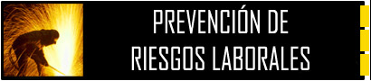 Curso de Prevenci�n de Riesgos Laborales Nivel B�s