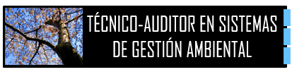 Curso de T�cnico-Auditor en Sistemas de Gesti�n Am
