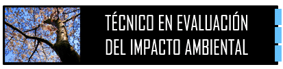 Curso de T�cnico en Evaluaci�n del Impacto Ambient