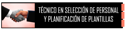 Curso de T�cnico en Selecci�n de Personal y Planif