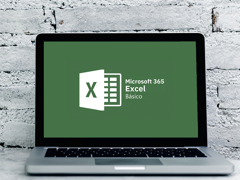 Fórmulas y Funciones Básicas en Excel 365