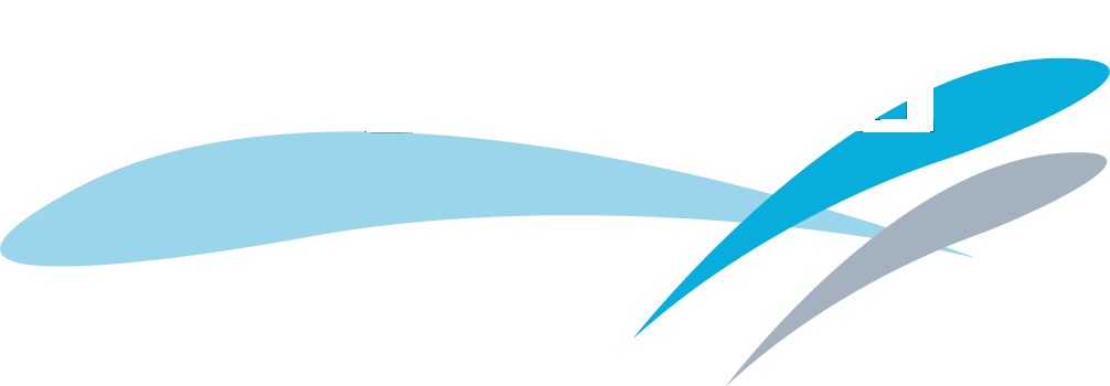 Ciberaula