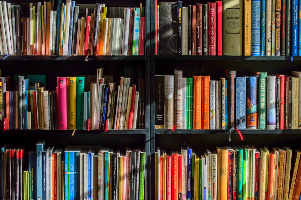 Estantería de madera oscura con libros de colores ordenados y numerados en filas