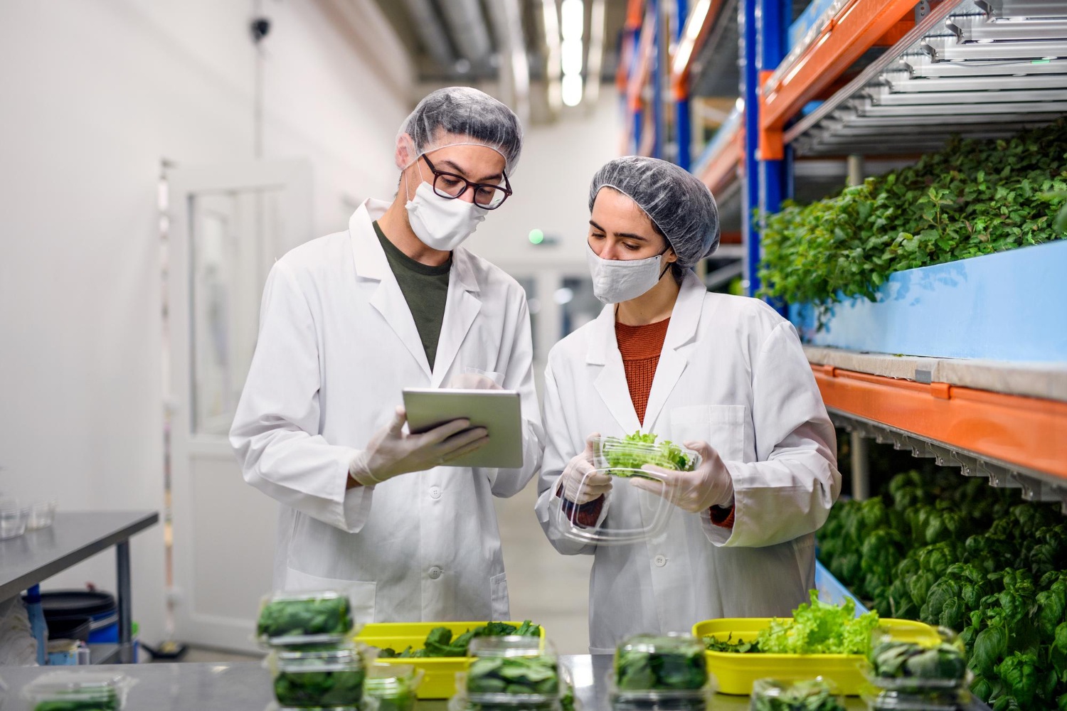 Manipulador y Etiquetado de Alimentos