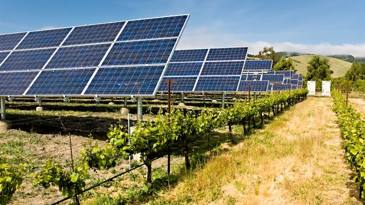 Energía Fotovoltaica en Agricultura