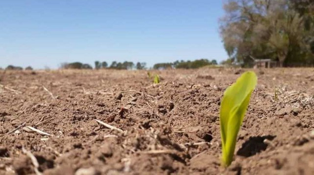 Impacto ambiental de los plaguicidas