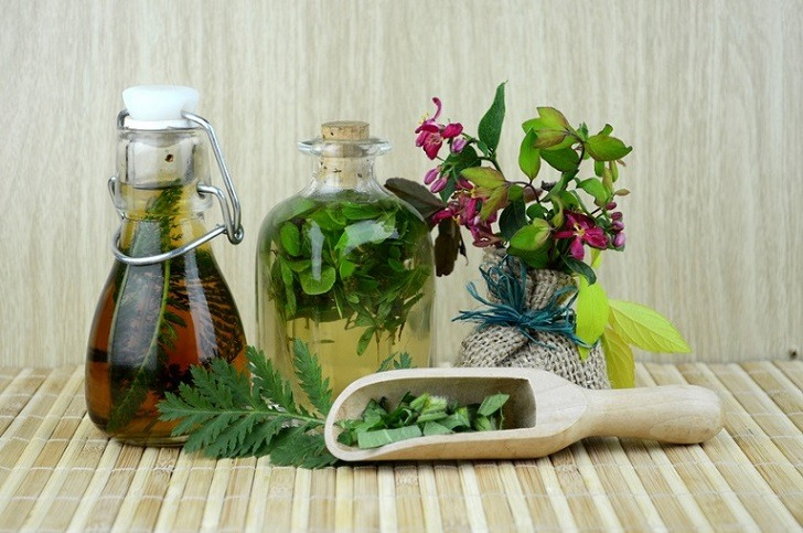 Plaguicidas Orgánicos y Alternativas Naturales