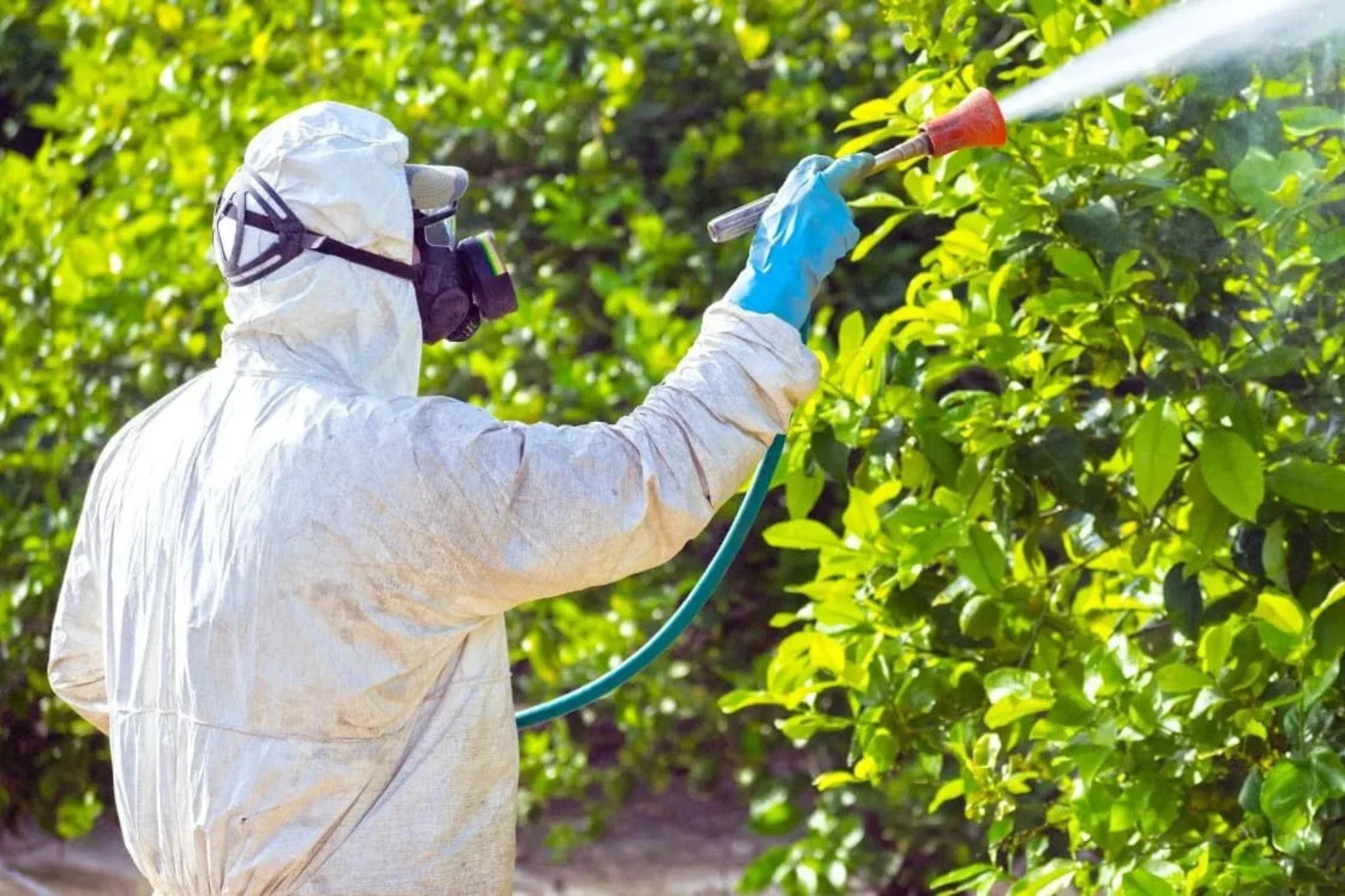 Aplicación de Plaguicidas en Agricultura