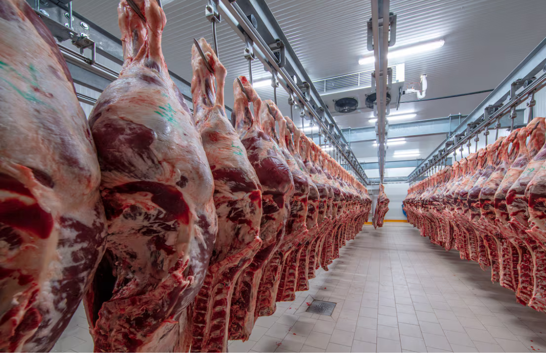 Acondicionamiento de la Carne
