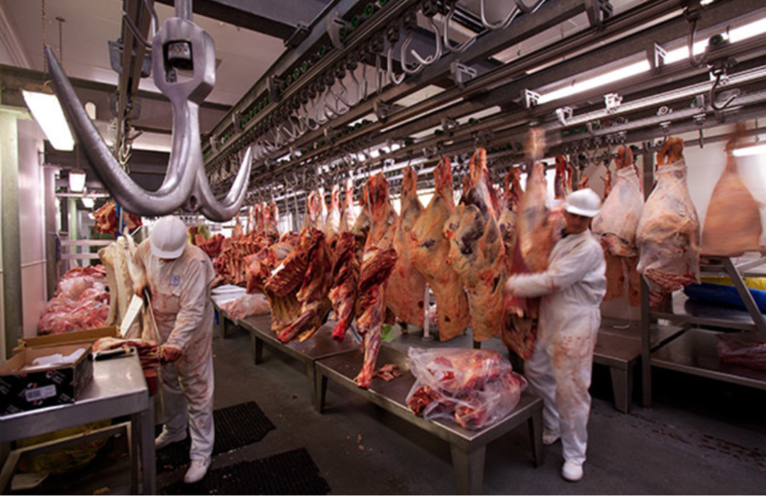 Acondicionamiento de Carne para Uso Industrial