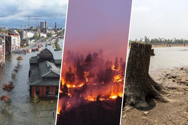 Impacto del cambio climático en los ecosistemas