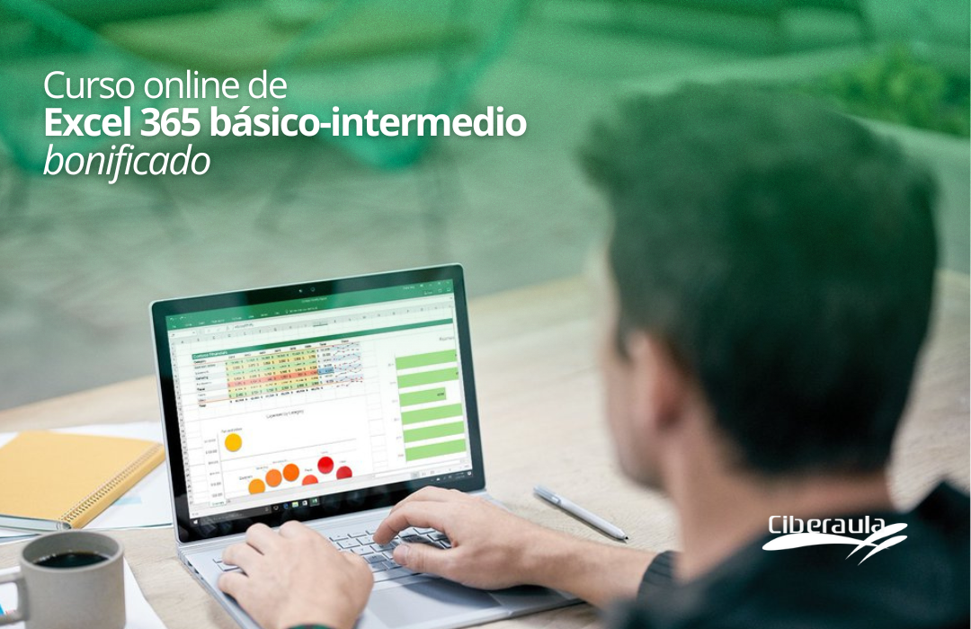Excel 365 basico - intermedio