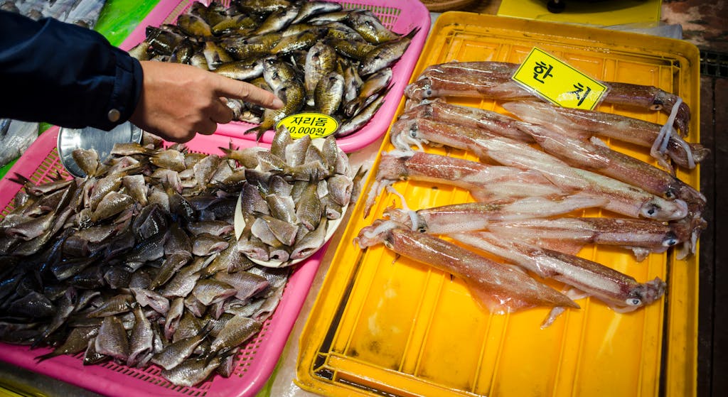 Alérgenos y APPCC para productos pesqueros