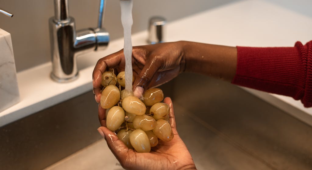 Manipulador de alimentos y etiquetado de alimentos